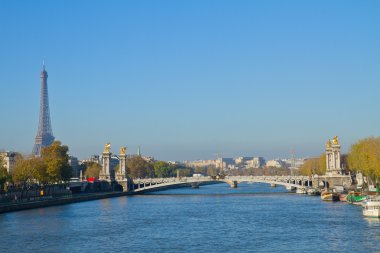 Alexandre III Köprüsü ve Eyfel Kulesi, paris