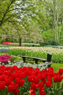 Bahçe keukenhof tezgah