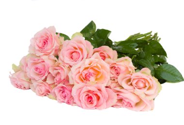 Bouquet of fpink roses clipart