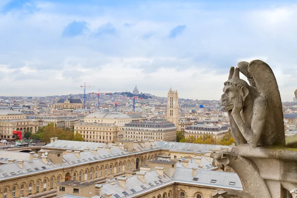 Gargoyle op de notre dame kathedraal, Frankrijk — Stockfoto