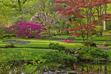 renkli bir Japon bahçesi