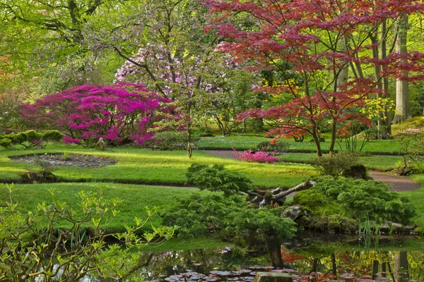 Colorido jardín japonés — Foto de Stock