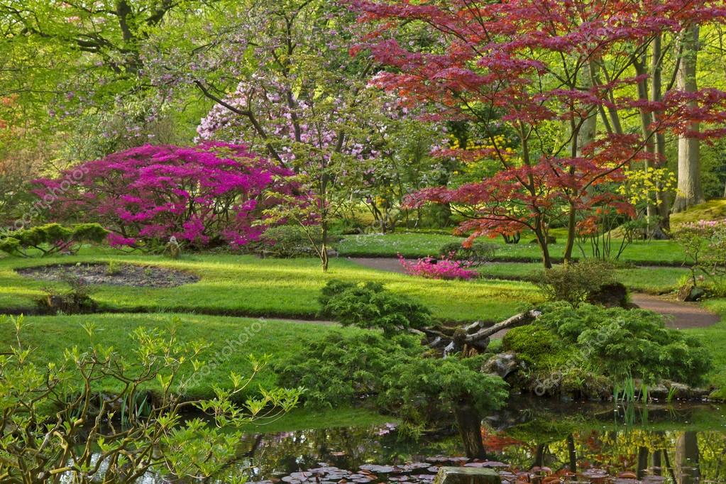 Colorful Japanese garden Stock Photo by ©Neirfys 16903889