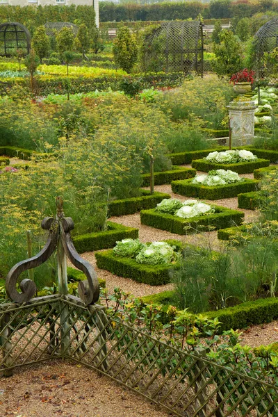Classic vegetable garden, France — Stock Photo, Image