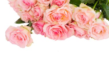 Border of fpink roses clipart