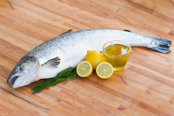 Atlantic Salmon fish — Stock Photo, Image