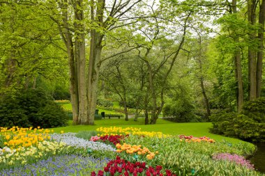 bahar bahçe keukenhof, Hollanda