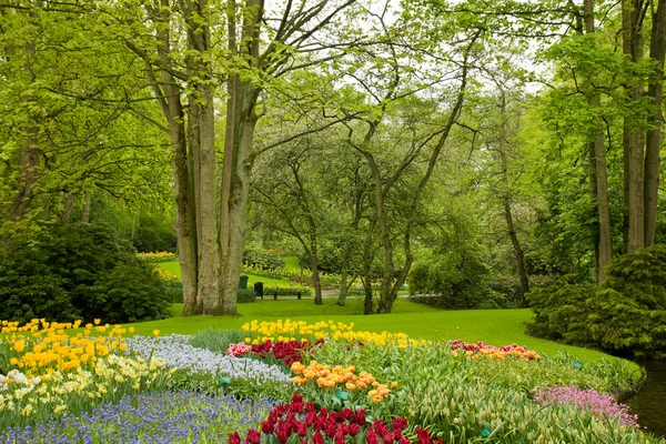 Frühling Garten Keukenhof, holland — Stockfoto