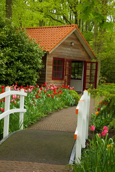 Hut in een tuin — Stockfoto