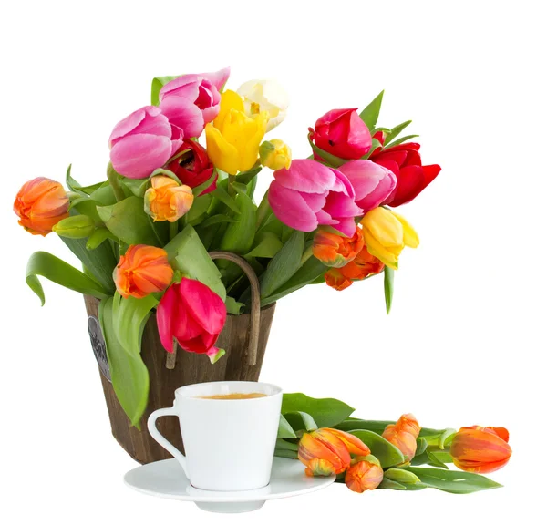 Puchar tulipany wiosna coffeeand — Zdjęcie stockowe