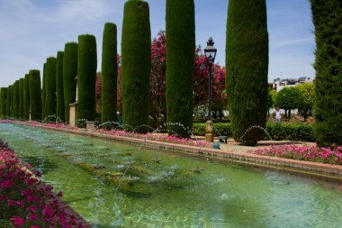 bahçeler de alcazar Cordoba, İspanya