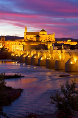 Katedral cordoba gece, İspanya (Endülüs)
