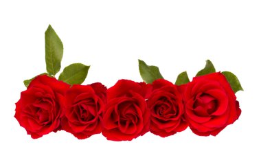 Border of red roses clipart