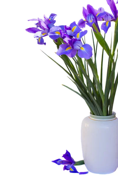 Bouquet of irises flowers — Stock Photo, Image