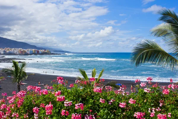 海滩海滩渣甸山花园、 特内里费岛，西班牙 — 图库照片