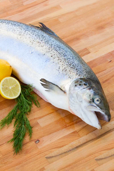 Peixe de salmão perto — Fotografia de Stock