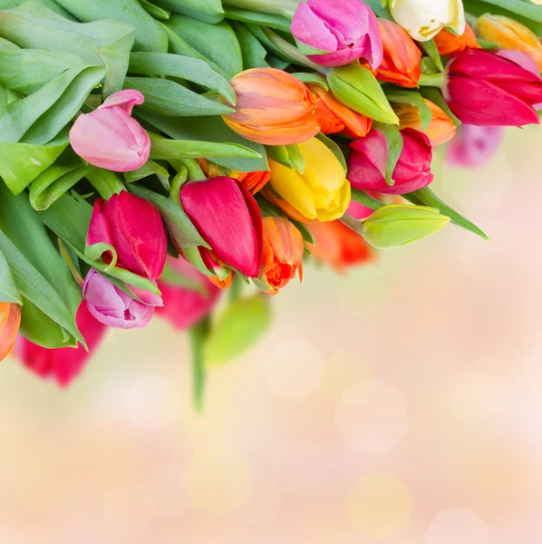 Våren mångfärgade tulpaner bukett — Stockfoto