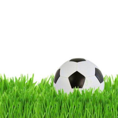 çim futbol topu