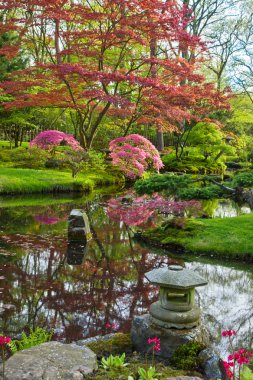 Baharda Japon bahçesi