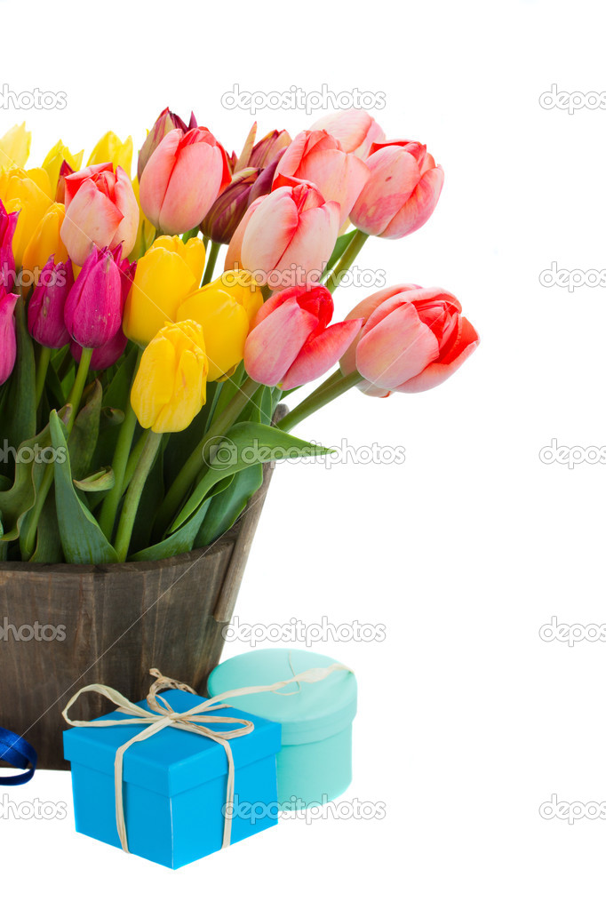 Tulip flowers in wooden pot with gift boxes