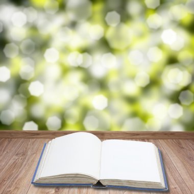 Açık kitap üzerine ahşap plakalar