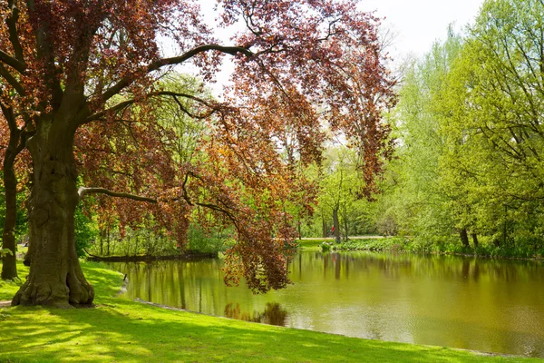 Vondelpark, amsterdam — Stockfoto