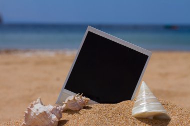 seashels ile anlık fotoğraf