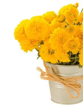 buket sarı mums pot