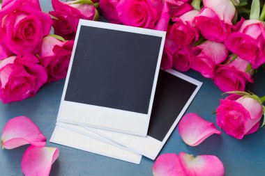 anlık fotoğraf ile taze gül