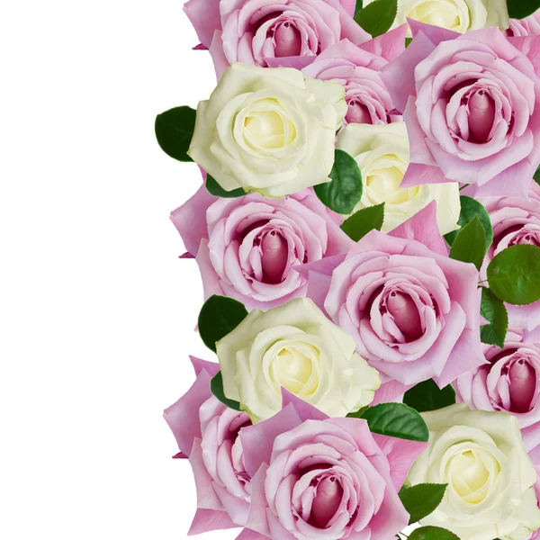 Borde de rosas rosadas y blancas — Foto de Stock