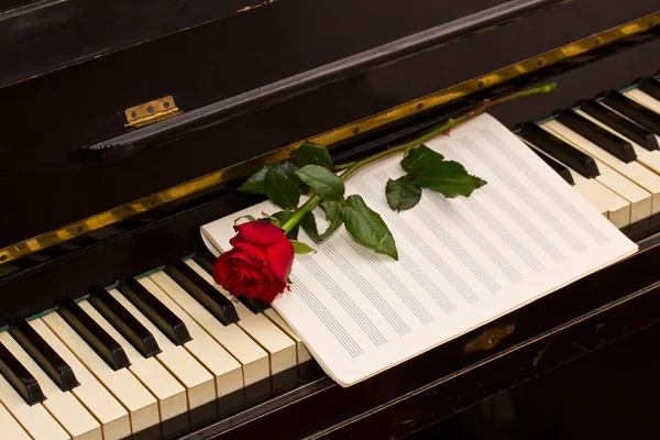 メモ用紙でバラをピアノで — ストック写真