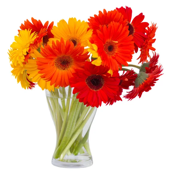 Gerbera fleurs dans un vase en verre — Photo