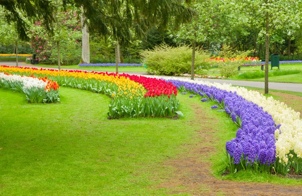 Gramado fresco com flores — Fotografia de Stock