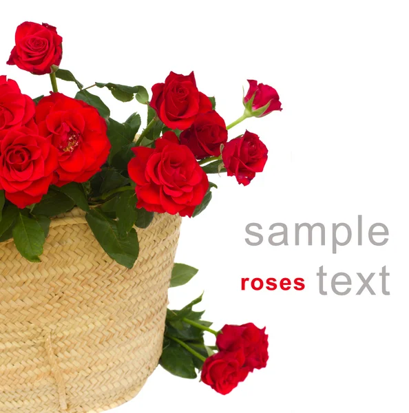 Bouquet of red roses in basket close up — Stock Photo, Image