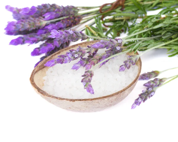 Lavender and sea salt — Stock Photo, Image