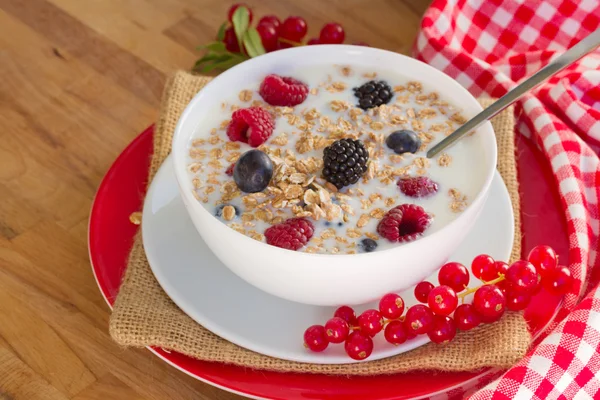 The oat flakes with berries — Stock Photo, Image