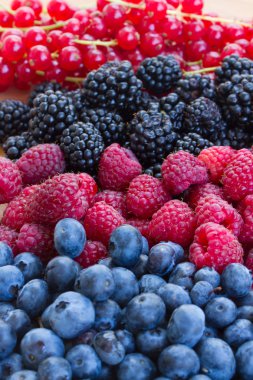 yabanmersini, ahududu, böğürtlen ve kırmızı currrunt