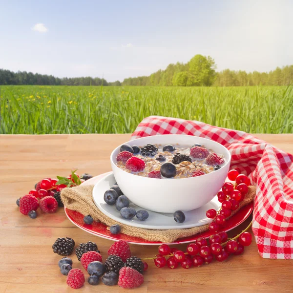 The oat flakes porridge with milk and berries — Stock Photo, Image