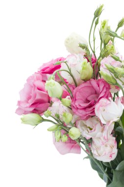 pembe eustoma çiçek grup