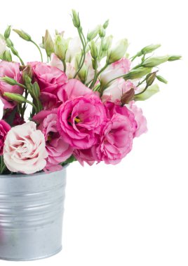 pembe eustoma çiçek metal kapta yakın çekim
