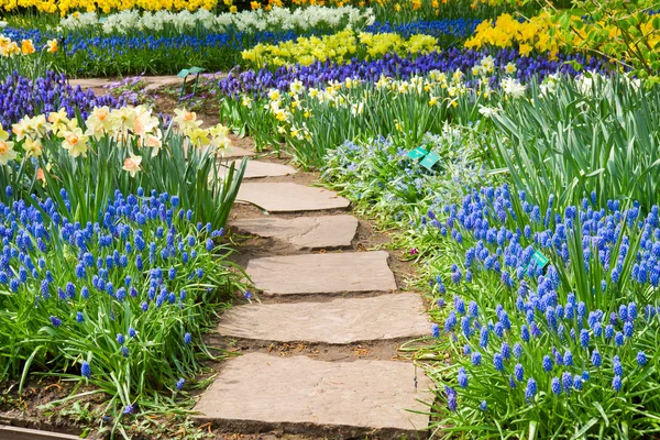 Percorso in pietra che si snoda in un giardino — Foto Stock