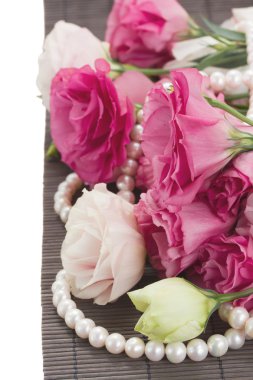 pembe eustomas ve inci sınır