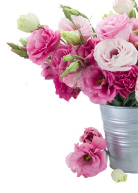 eustoma çiçek metal kapta yakın çekim