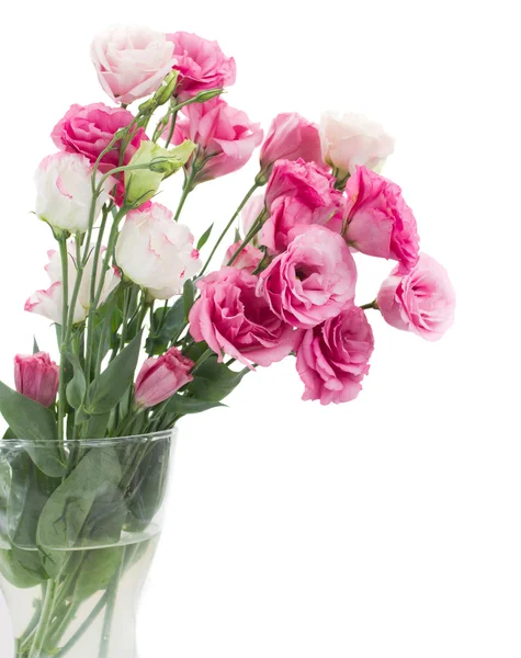 Roze eustoma bloemen in vaas — Stockfoto
