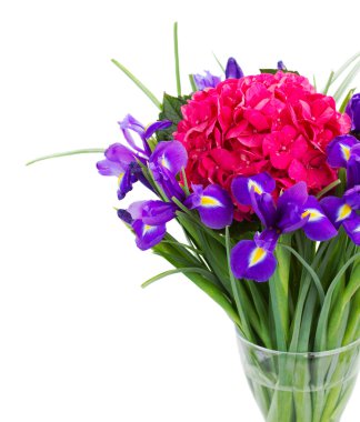 HORTENSIA ve iris çiçekler