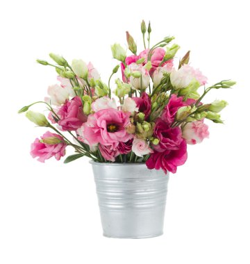 tencerede pembe eustoma çiçek