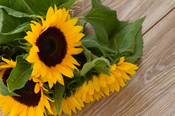 Frischer Strauß gelber Sonnenblumen aus nächster Nähe — Stockfoto