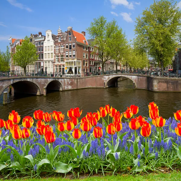 Кольцевые мосты, старый город Амстердам — стоковое фото
