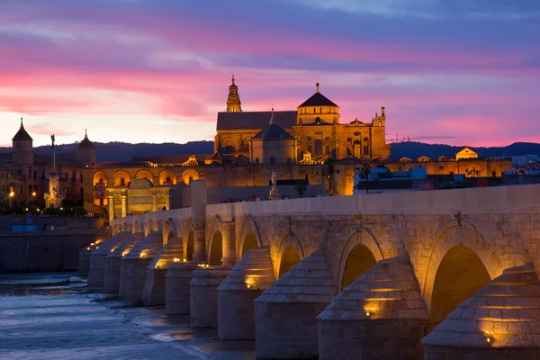 Kathedrale und römische Brücke bei Nacht, Cordoba — Stockfoto