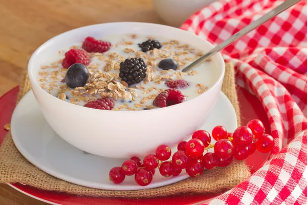 The oat flakes with fresh berries — Stock Photo, Image